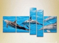 Pictură Rainbow Polyptych Flock of Dolphins 03 (2224640)