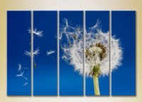 Pictură Rainbow Polyptych Flying Dandelion 02 (2932864)