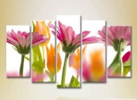 Pictură Rainbow Polyptych Gerbera (2932802)