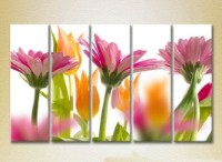 Pictură Rainbow Polyptych Gerbera 01 (2932809)
