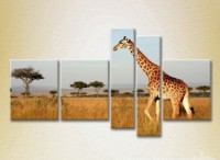 Pictură Rainbow Polyptych Giraffe Kenya Africa (2224633)