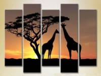 Pictură Rainbow Polyptych Giraffes Africa (2224627)