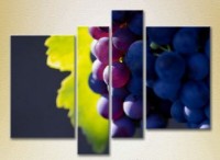 Pictură Rainbow Polyptych Grapes Lydia (2220275)