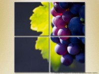 Pictură Rainbow Polyptych Grapes Lydia 01 (2220230)