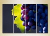 Pictură Rainbow Polyptych Grapes Lydia 02 (2220280)
