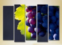 Картина Rainbow Polyptych Grapes Lydia 04 (2224567)