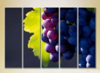 Pictură Rainbow Polyptych Grapes Lydia 05 (2224617)