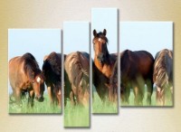 Pictură Rainbow Polyptych Horses in the field (2222229)