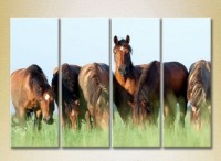 Pictură Rainbow Polyptych Horses in the field 02 (2222230)
