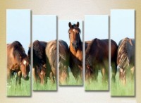 Pictură Rainbow Polyptych Horses in the field 03 (2224634)