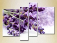 Pictură Rainbow Polyptych Lavender (2932300)