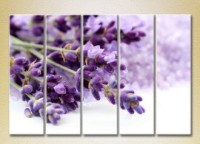 Pictură Rainbow Polyptych Lavender 03 (2932826)
