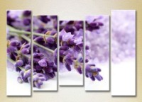 Pictură Rainbow Polyptych Lavender 04 (2932827) imaginea #1 — magazin online Desire.md