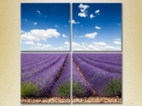 Pictură Rainbow Polyptych Lavender field (2223682)