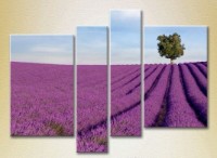 Pictură Rainbow Polyptych Lavender field with tree (2223675)