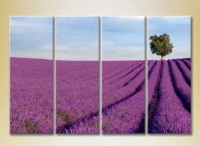 Pictură Rainbow Polyptych Lavender field with tree 01 (2223678)