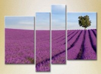 Pictură Rainbow Polyptych Lavender field with tree 02 (2223677)