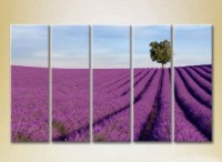 Pictură Rainbow Polyptych Lavender field with tree 03 (2224814)