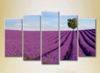Pictură Rainbow Polyptych Lavender field with tree 04 (2224825)
