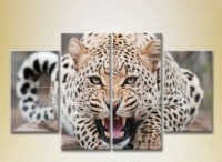 Pictură Rainbow Polyptych Leopard (2222227)