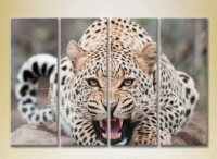 Pictură Rainbow Polyptych Leopard 01 (2222228)
