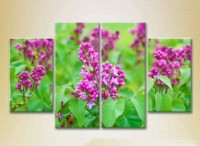 Pictură Rainbow Polyptych Lilac 01 (2932356)