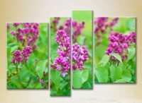 Pictură Rainbow Polyptych Lilac 02 (2932357)