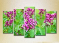Картина Rainbow Polyptych Lilac 04 (2932881) фото №1 — интернет-магазин Desire.md