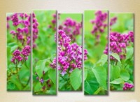 Pictură Rainbow Polyptych Lilac 05 (2932882)