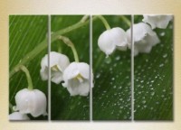 Картина Rainbow Polyptych Lilies of the valley (2932302)