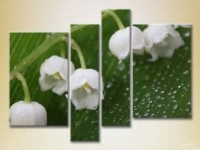 Картина Rainbow Polyptych Lilies of the Valley 01 (2932303)