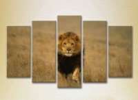 Pictură Rainbow Polyptych Lion Hunting 02 (2224629)