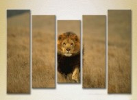 Pictură Rainbow Polyptych Lion Hunting 03 (2224630) imaginea #1 — magazin online Desire.md