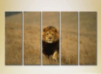 Картина Rainbow Polyptych Lion Hunting 05 (2224645)