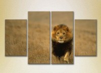 Pictură Rainbow Polyptych Lion hunts (2222225) imaginea #1 — magazin online Desire.md