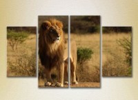 Pictură Rainbow Polyptych Lion on a hillock 01 (2222224) imaginea #1 — magazin online Desire.md