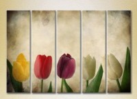 Pictură Rainbow Polyptych Multicolored tulips 03 (2932867)