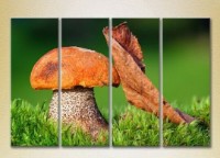 Pictură Rainbow Polyptych Mushroom and leaf (2932276)