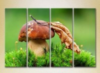 Pictură Rainbow Polyptych Mushroom in green grass (2220240)