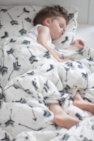 Одеяло для малышей La Millou Blankets Boho Royal Arrows