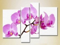 Pictură Rainbow Polyptych Orchids lilac (2932323)