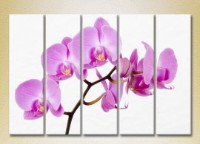 Pictură Rainbow Polyptych Orchids lilac 04 (2932850) imaginea #1 — magazin online Desire.md