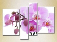 Pictură Rainbow Polyptych Orchids lilac with buds 02 (2932325)
