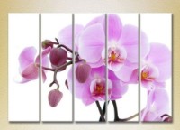 Pictură Rainbow Polyptych Orchids lilac with buds 03 (2932847)