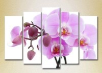Pictură Rainbow Polyptych Orchids lilac with buds 05 (2932848)