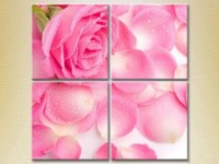 Pictură Rainbow Polyptych Pink Rose and Petals (2932347)