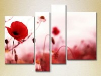 Pictură Rainbow Polyptych Poppies 02 (2932310) imaginea #1 — magazin online Desire.md