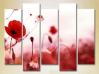 Pictură Rainbow Polyptych Poppies 03 (2932835)