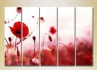 Pictură Rainbow Polyptych Poppies 05 (2932836)