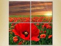Pictură Rainbow Polyptych Poppy field (2932311)